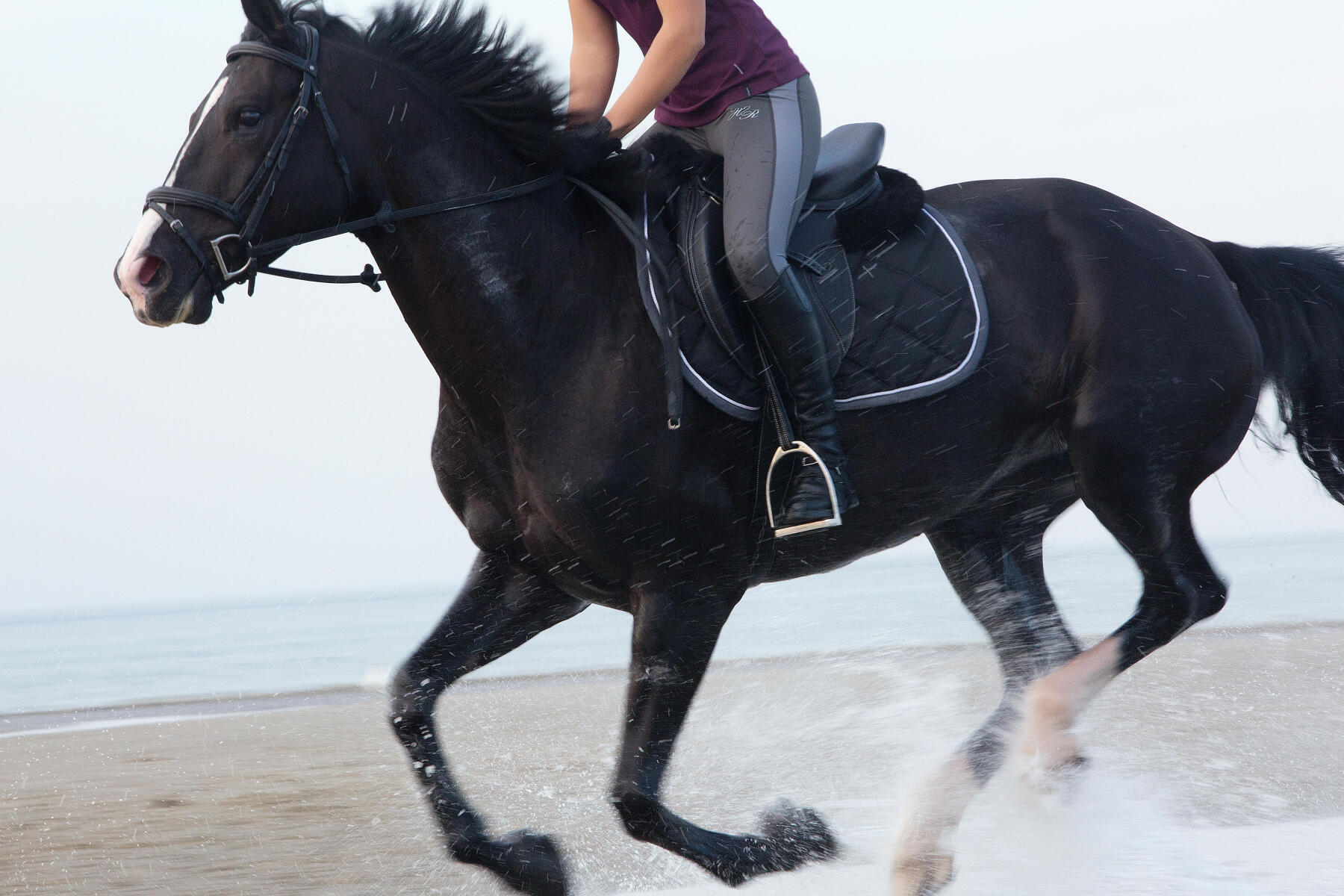 Cavalière et son cheval noir en train de galoper sur une plage