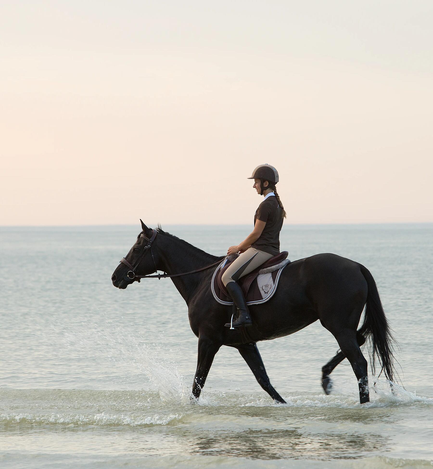 Les joies des promenades à cheval