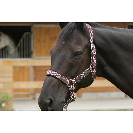 Licol équitation poney et cheval PLAIT bleu rouge | Fouganza