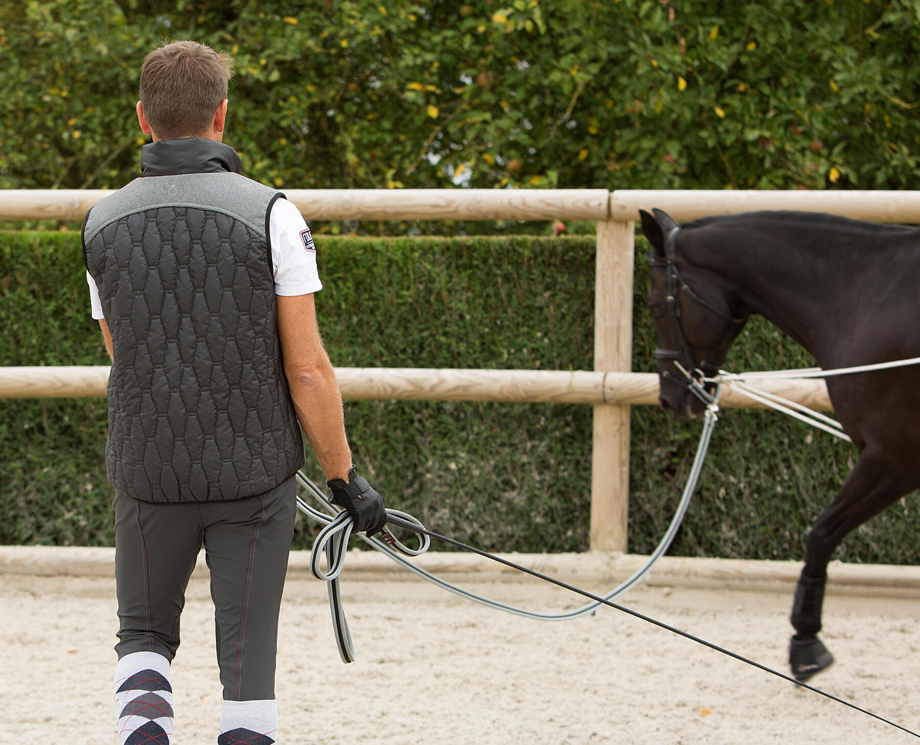 Cheval a qui on demande une extension d'encolure en longe