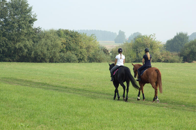 Mon cheval part en vacances au pré