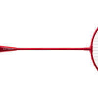 Badminton Friends Set