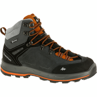 CHAUSSURES TREKKING CUIR IMPERMÉABLES - MT100 SHARK - HOMME