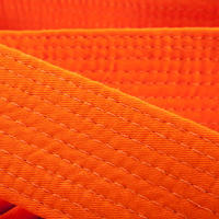 CEINTURE ARTS MARTIAUX PIQUÉE 3.00 m ORANGE