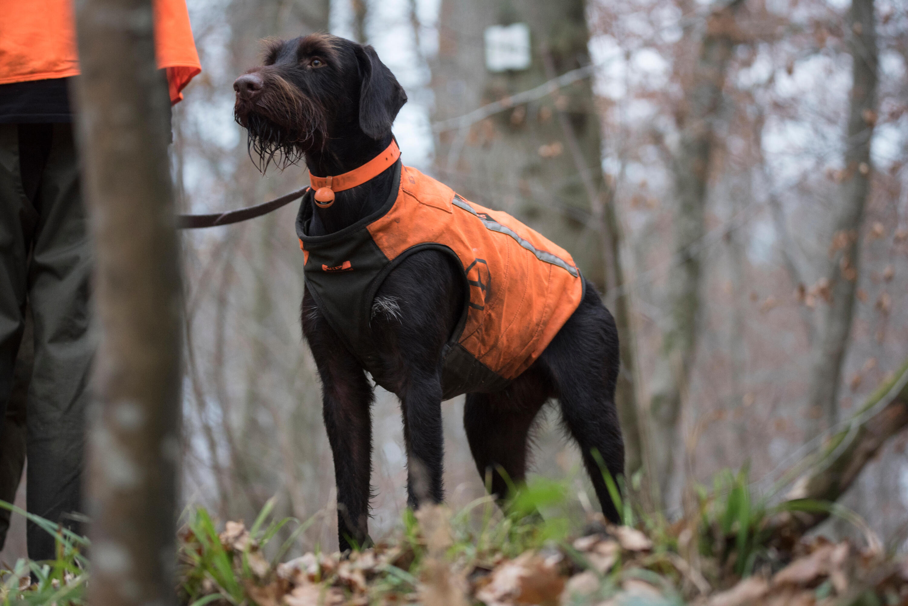 Hunde-Schutzweste Supertrack  7/9