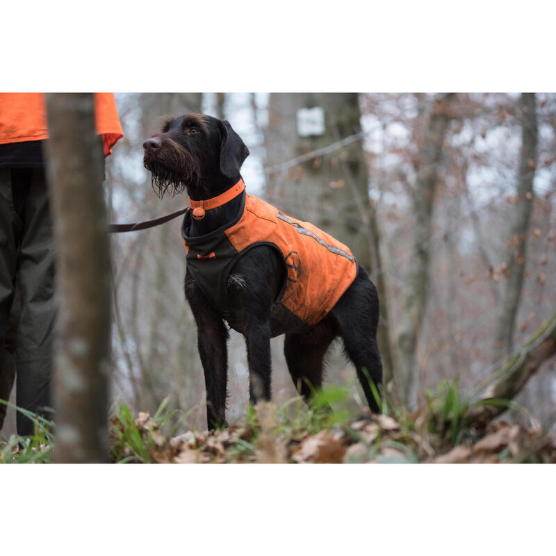 gilet chien supertrack solognac