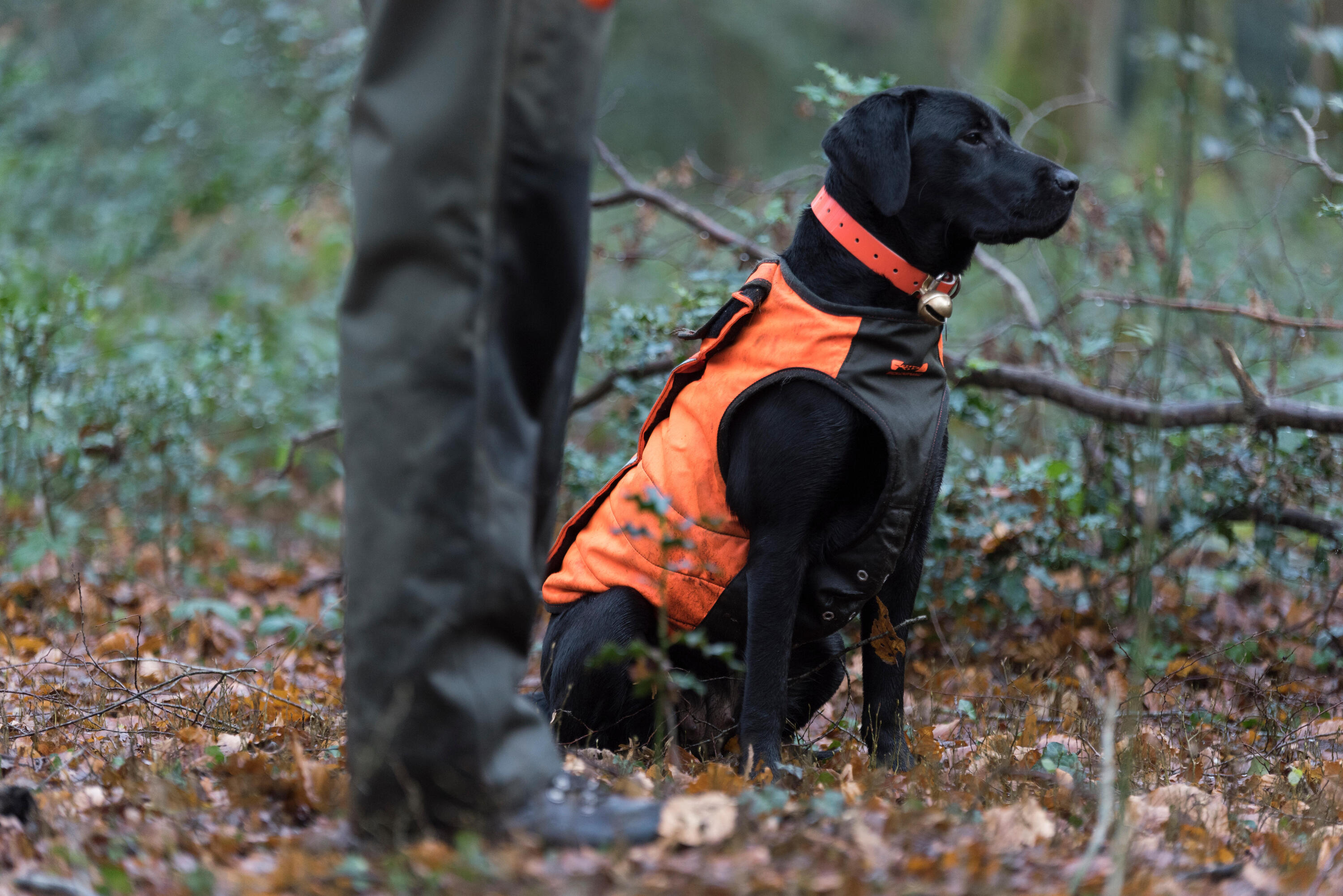 Hunde-Schutzweste Supertrack  8/9
