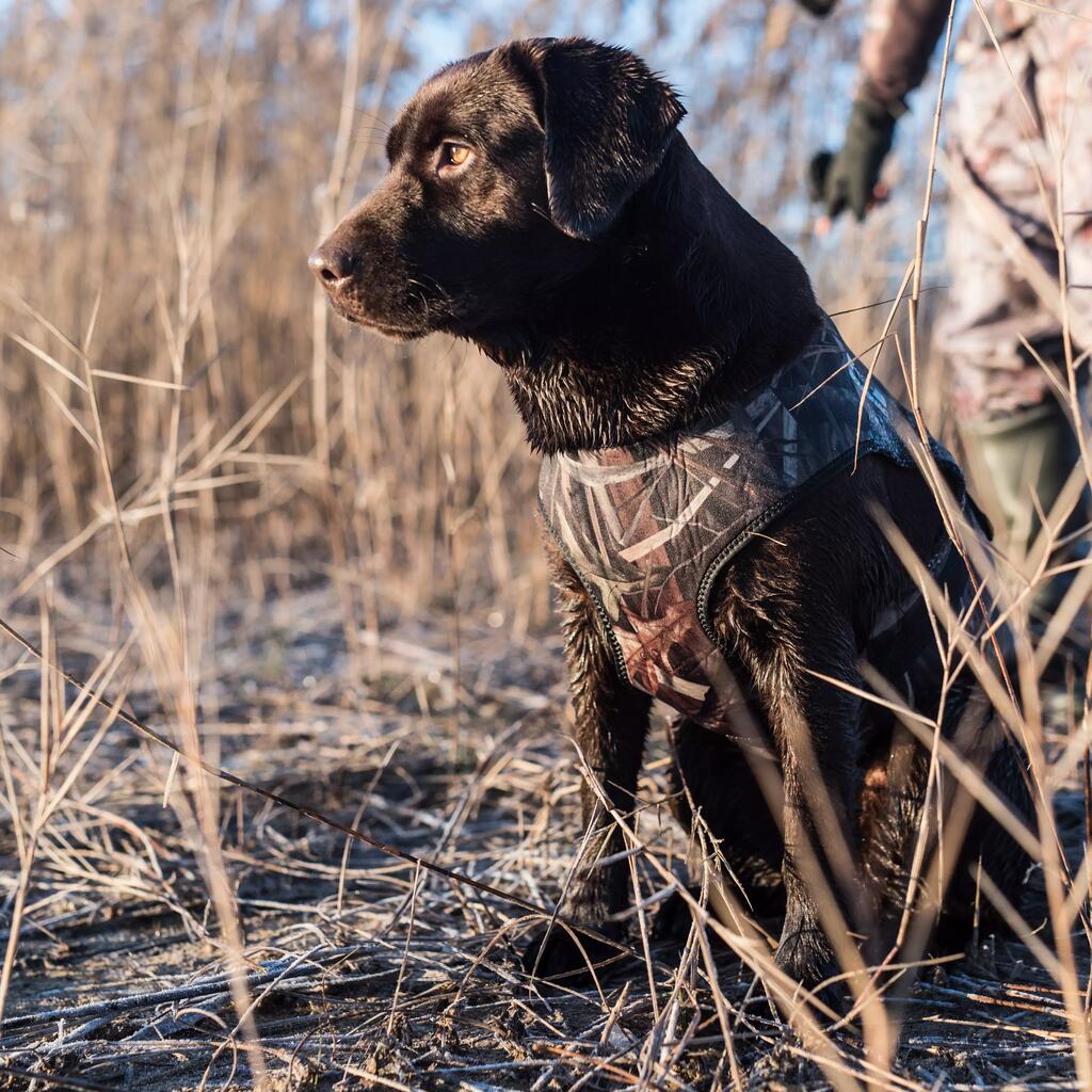 Pro Neoprene Dog Vest - Camouflage