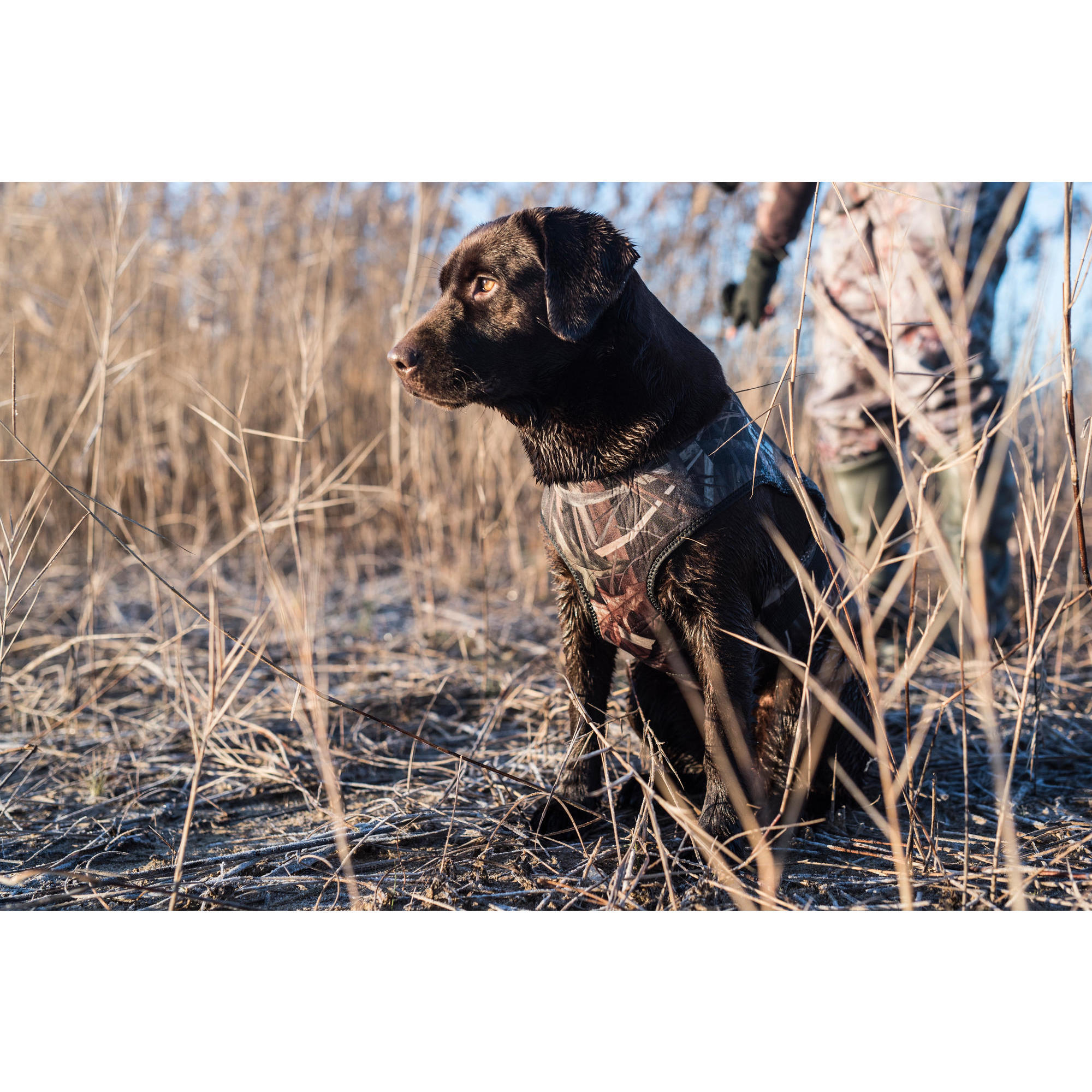 Old school camo shop dog vest