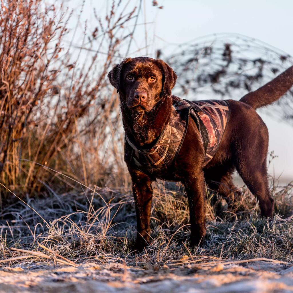 Dog Vest Neoprene Wetland Camouflage 900 Pro