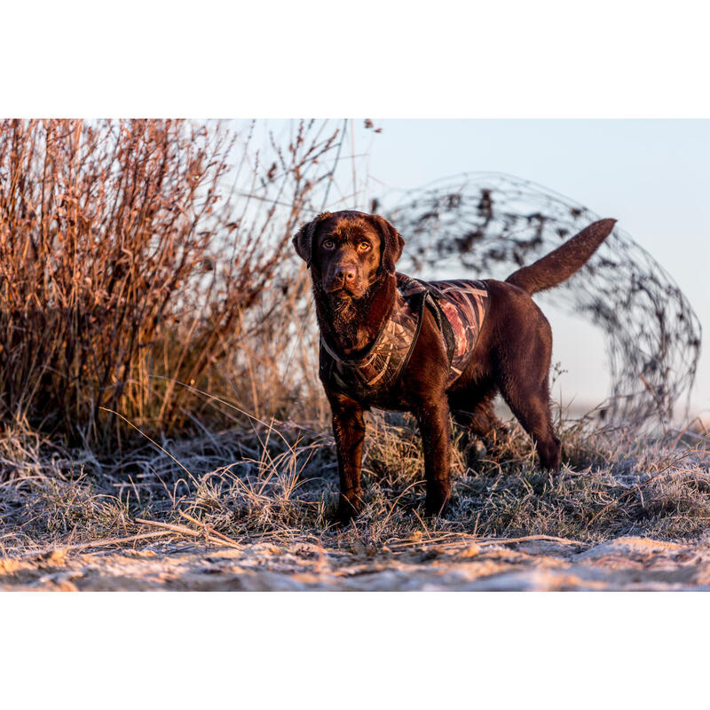 Colete Cão de Caça neoprene 900 pro Camuflado Pântano