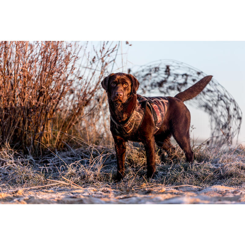 Gilet chien néoprène 900 pro camouflage marais