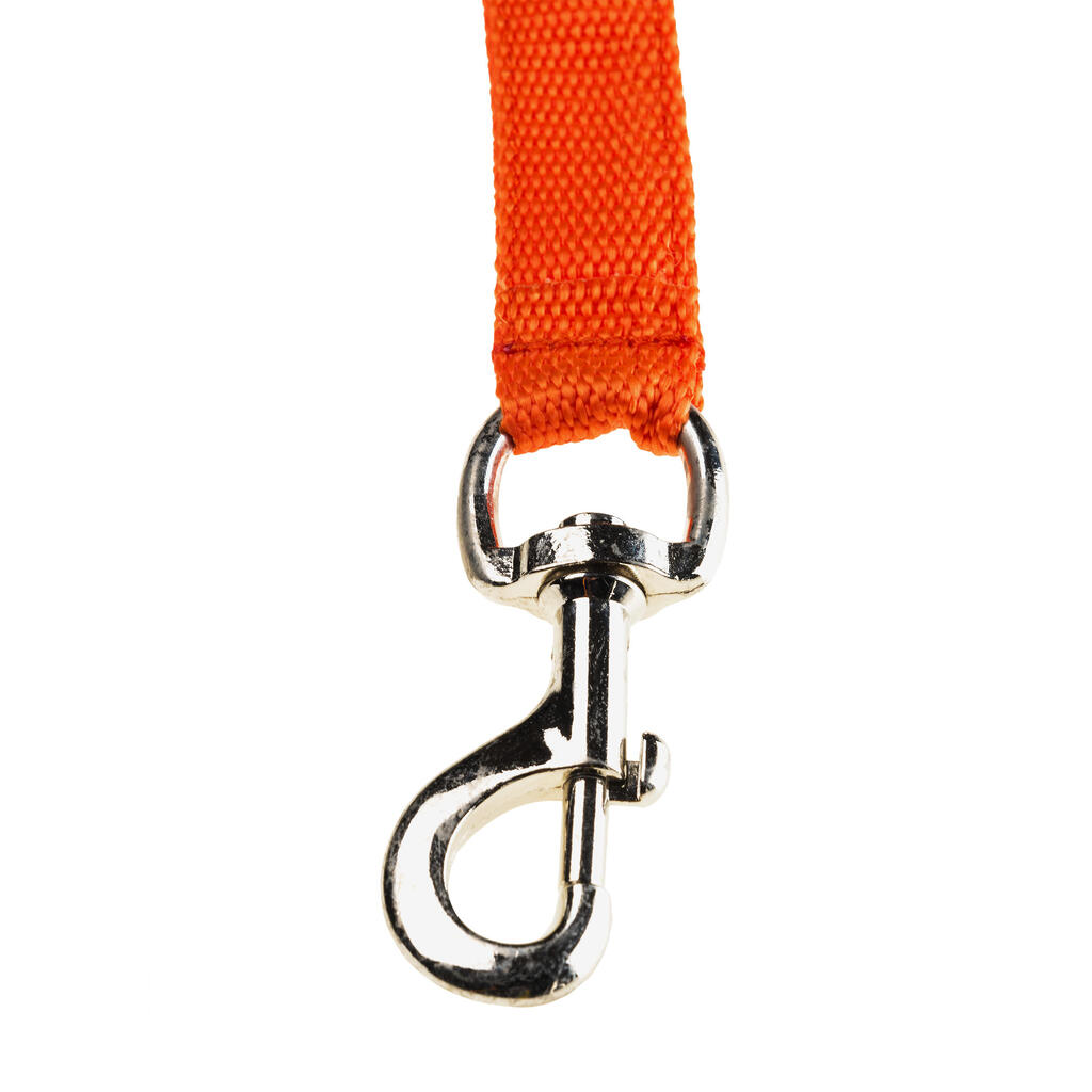 Coupler Leash for 2 Dogs - Orange