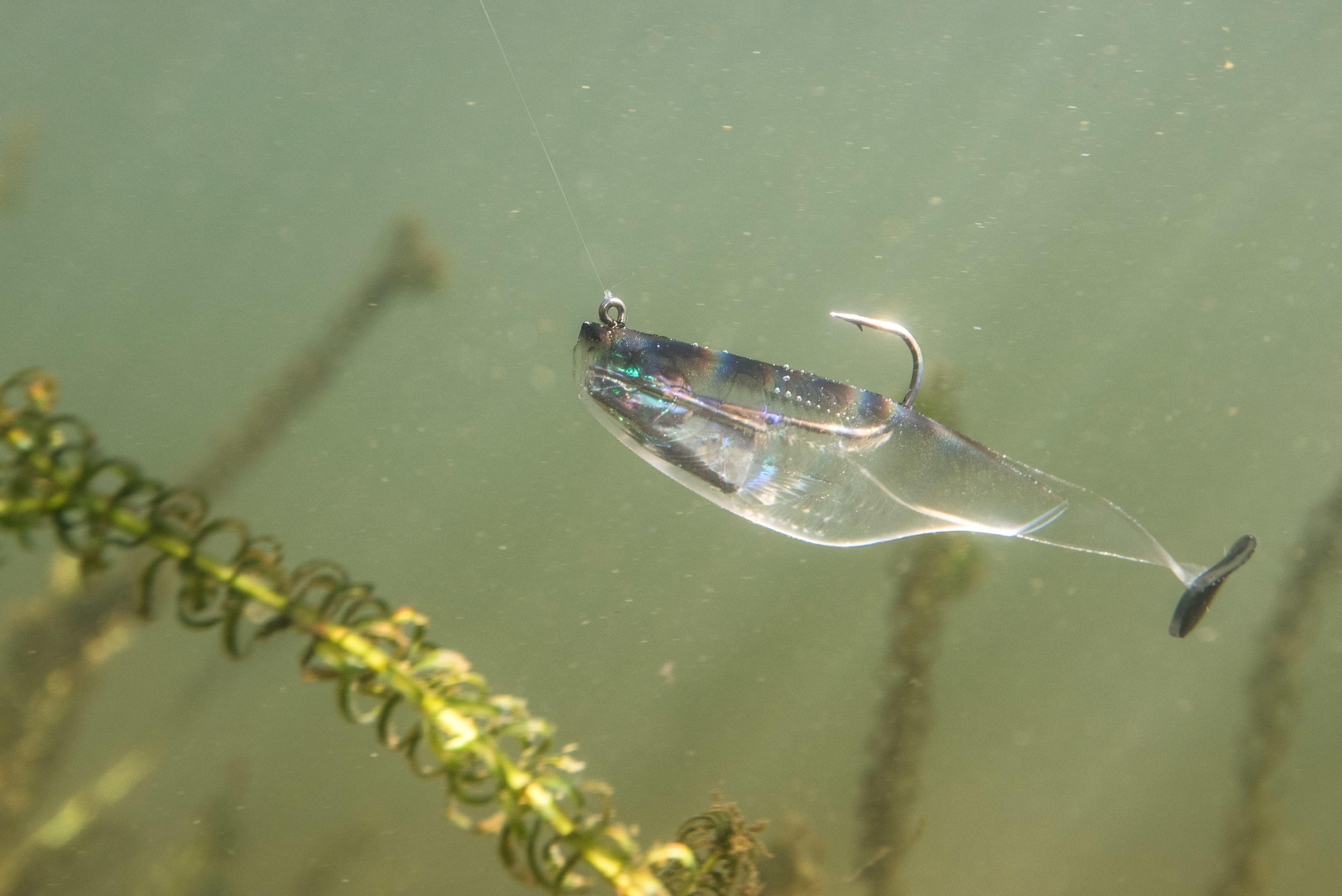 CHELT 100 BLACK BACK SOFT FISHING LURE - CAPERLAN