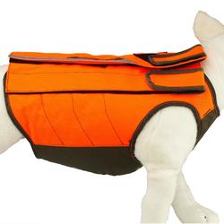 gilet de protection pour chien de chasse decathlon