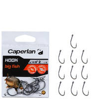 Fishing Carp Hook