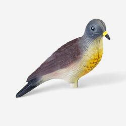 APPELANT GRIVE LITORNE APR52