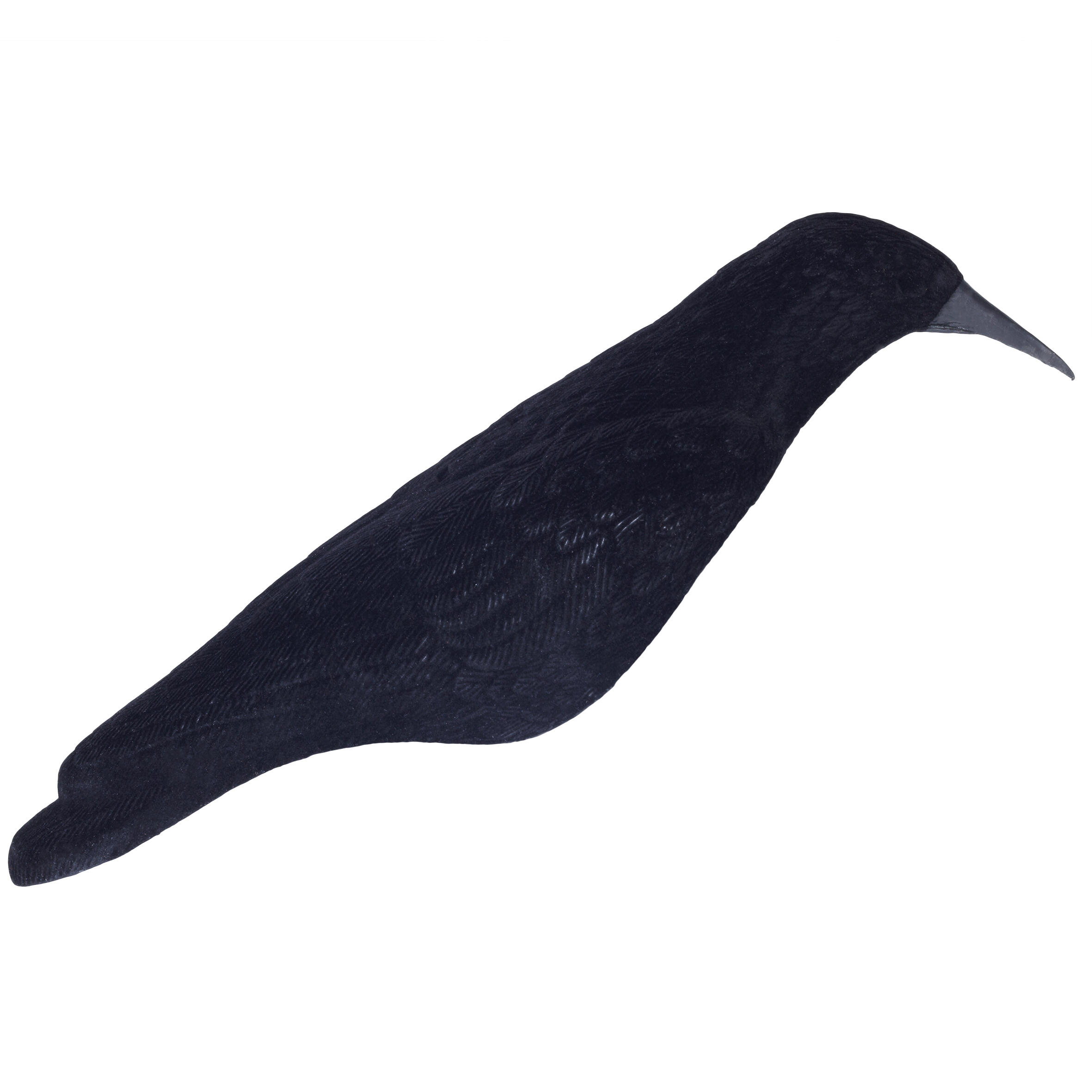 COQUILLE CORBEAU FLOQUE AVEC TIGE 5/6