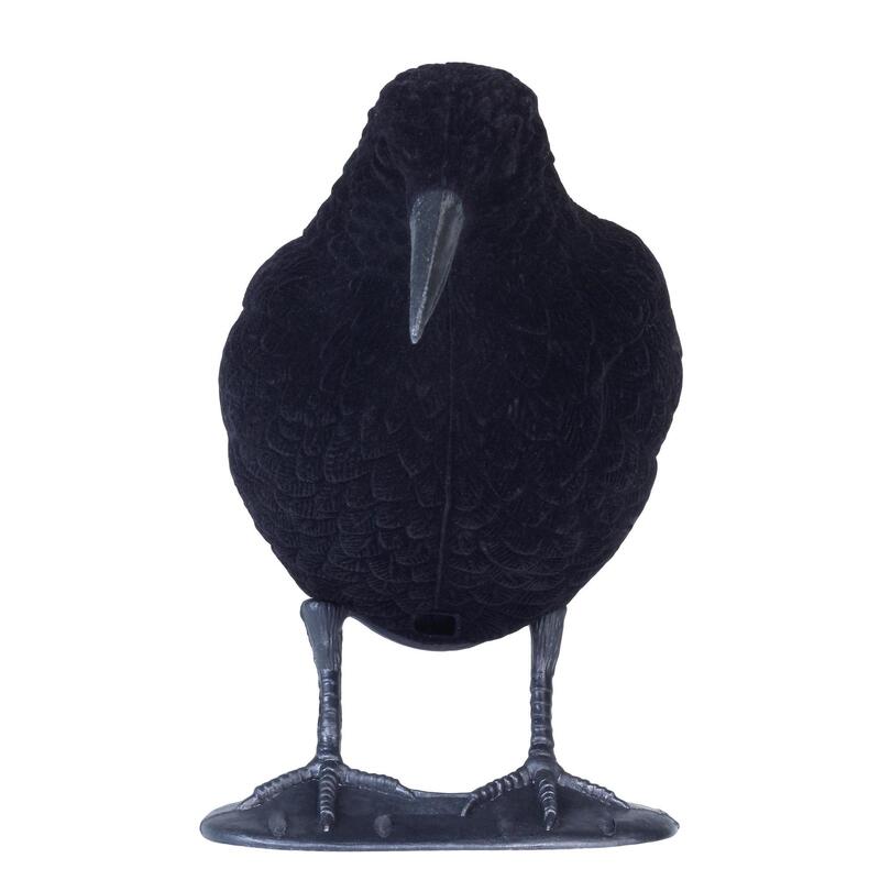 Stampo corvo floccato