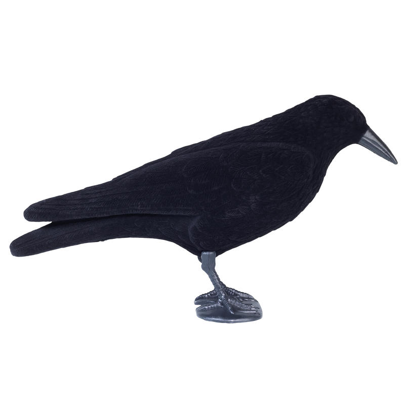 FORME CORBEAU FLOQUE - Decathlon Guadeloupe