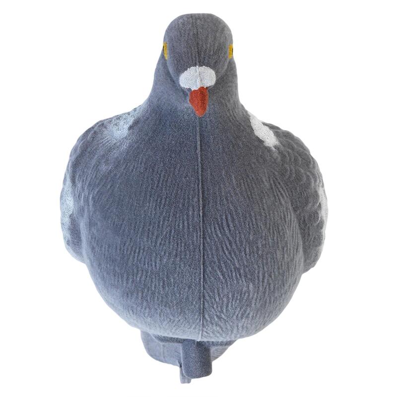 APPELANT PIGEON VELOURS 3D