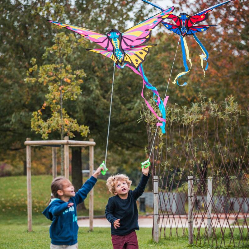 Vlieger eenlijner MFK160 vlinder roze geel