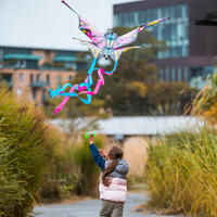Static kite - MFK160 Butterfly Pink/Yellow