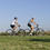 VELO TOUT CHEMIN RIVERSIDE 100 VELO TOUT CHEMIN RIVERSIDE 100