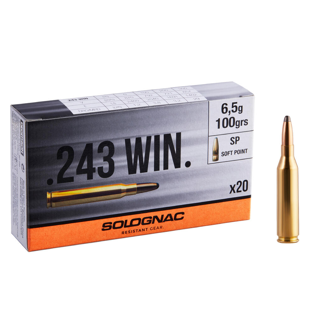 Bullet 243 WINCHESTER 6.5G/100GRS X20