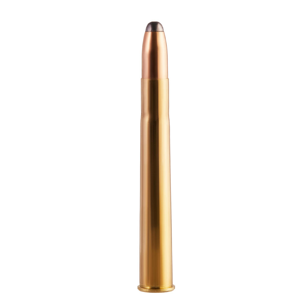 Bullet 9.3X74R 18.5G/285GRS X20