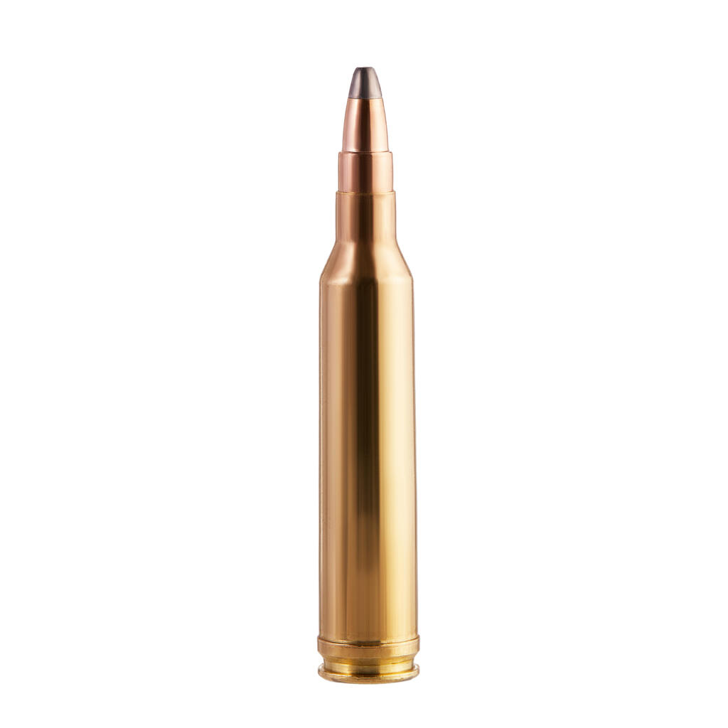 Bullet 7 RM REMINGTON MAGNUM 11.2 g/173 g X20