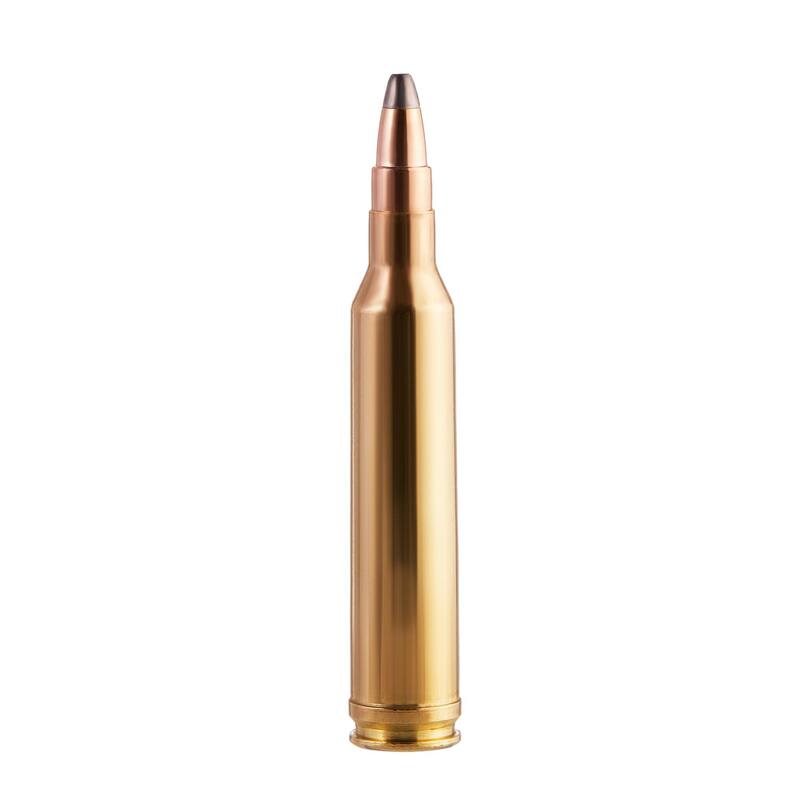 Balle 7 RM REMINGTON MAGNUM 11,2g/173gr X20