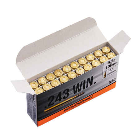 Bullet 243 WINCHESTER 6.5G/100GRS X20