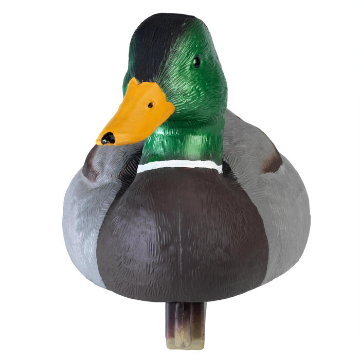 Lockvogel Lockvogel