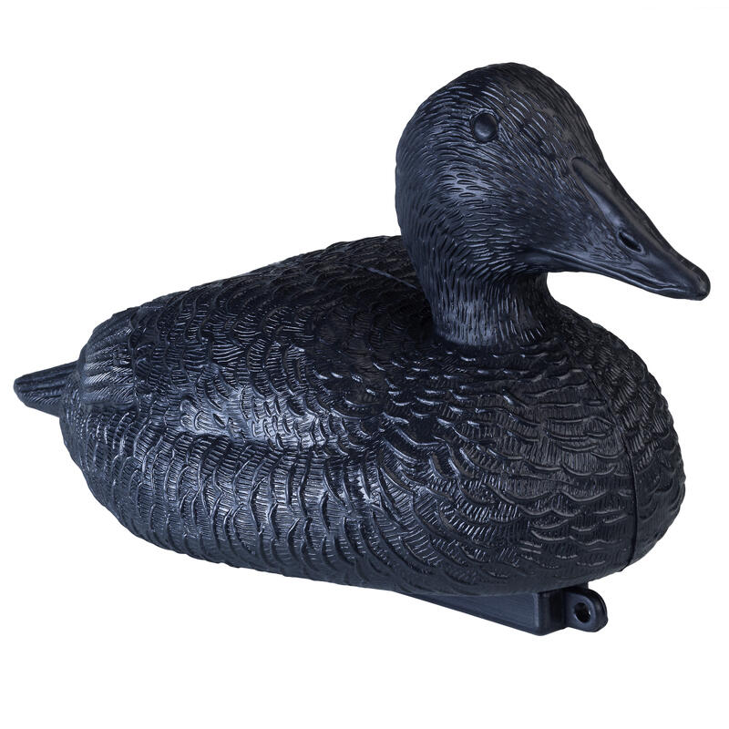 APPELANT EIDER NOIR