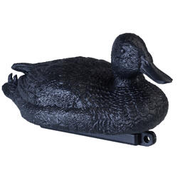 APPELANT COLVERT NOIR