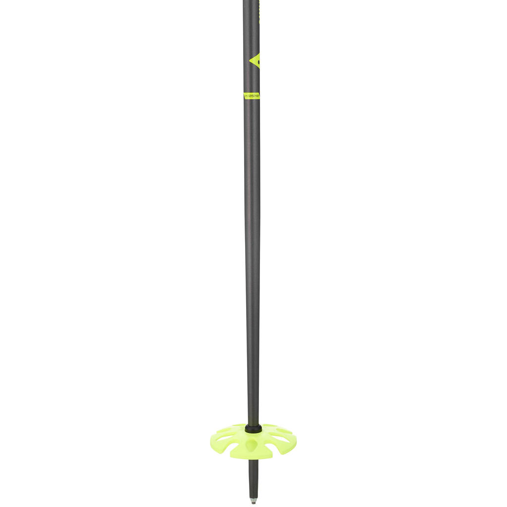 Adult Freeride and Cross-Country Ski Poles