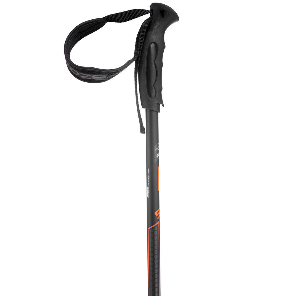 Men's Downhill Ski Poles Robust Boost