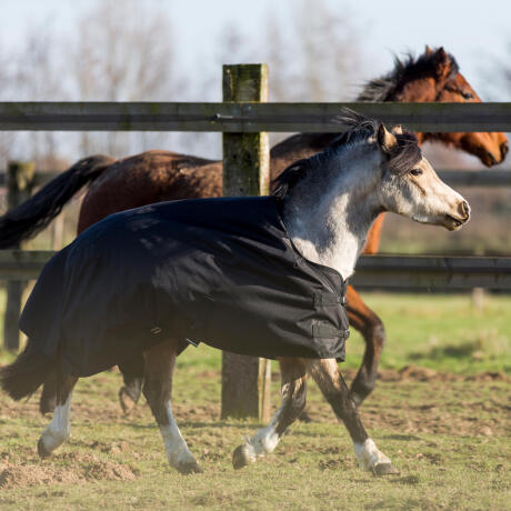 travail-cheval-hiver-couvertures travail-cheval-hiver-couvertures