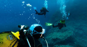 pourquoi plonger en couple ou en famille subea decathlon pourquoi plonger en couple ou en famille subea decathlon