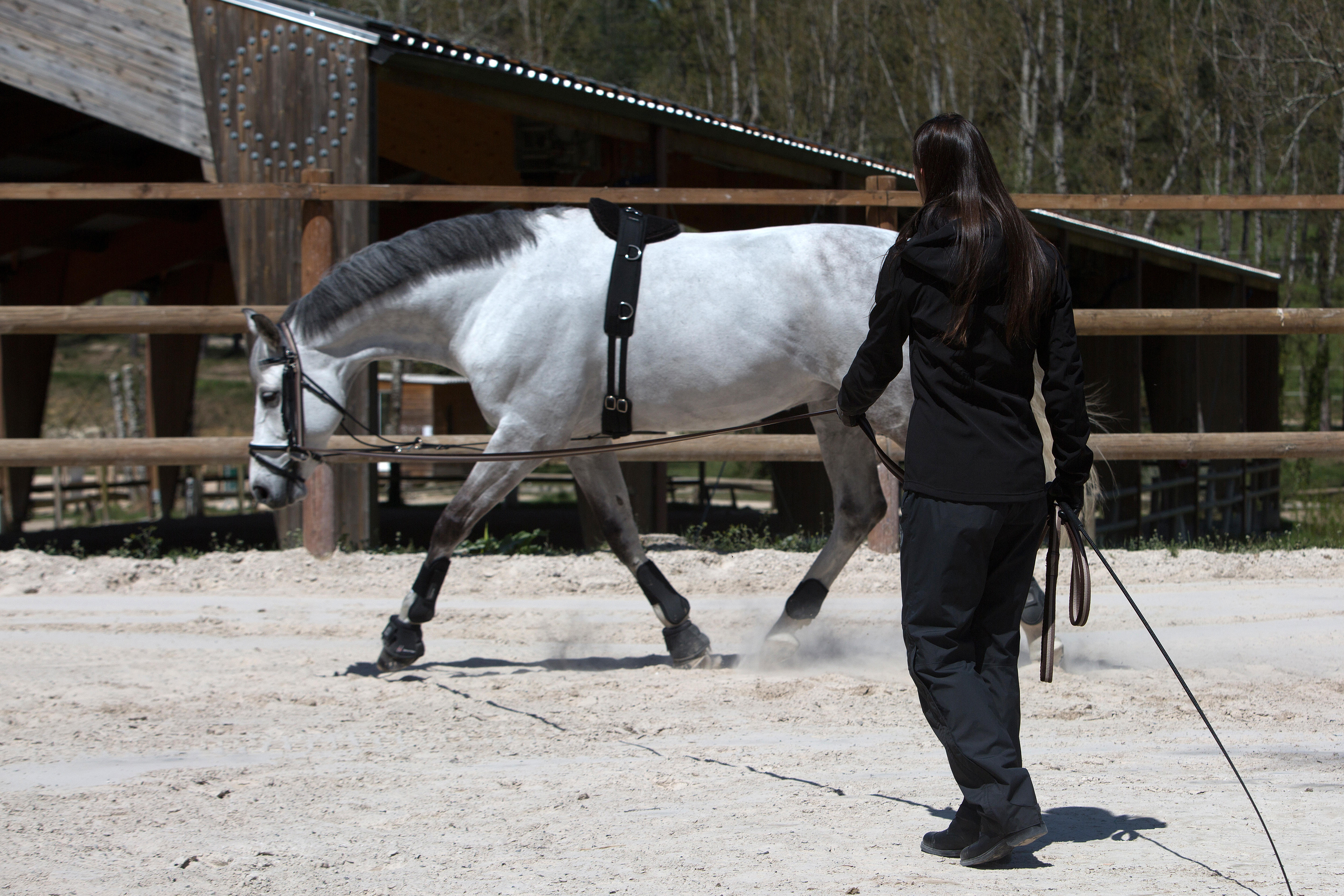 Surfaix de travail équitation cheval et poney noir - FOUGANZA