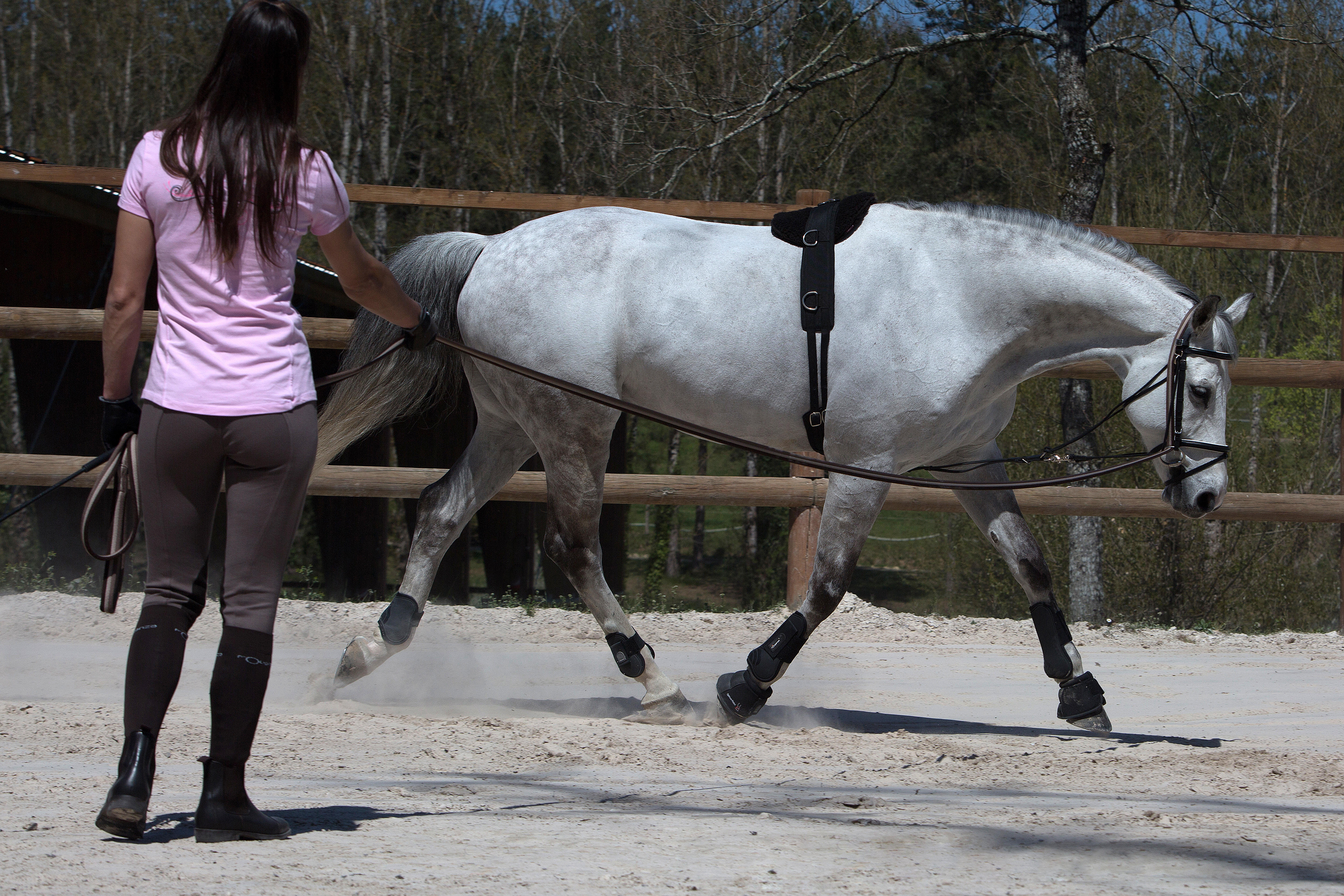 Surfaix de travail équitation cheval et poney noir - FOUGANZA