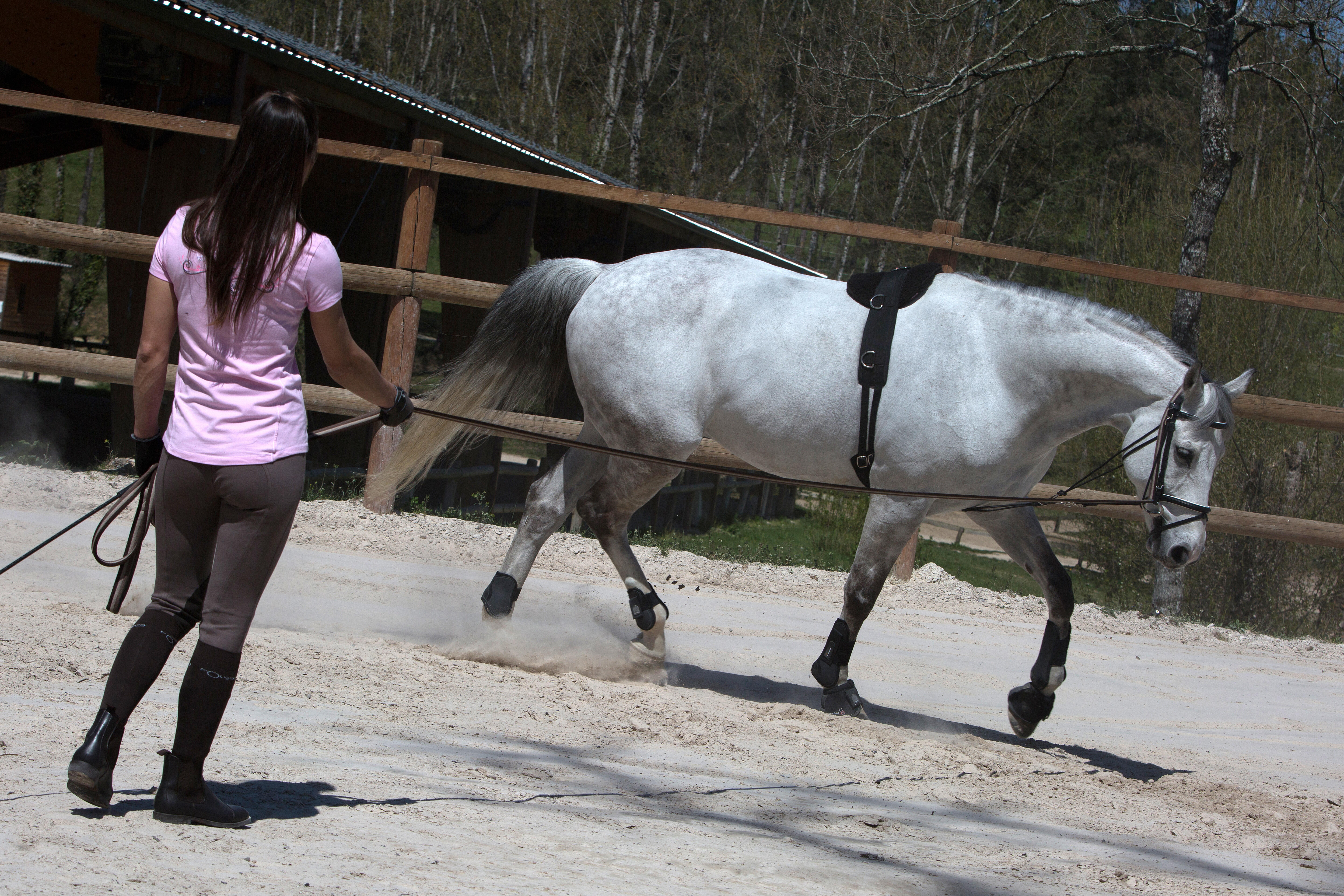 Surfaix de travail équitation cheval et poney noir - FOUGANZA