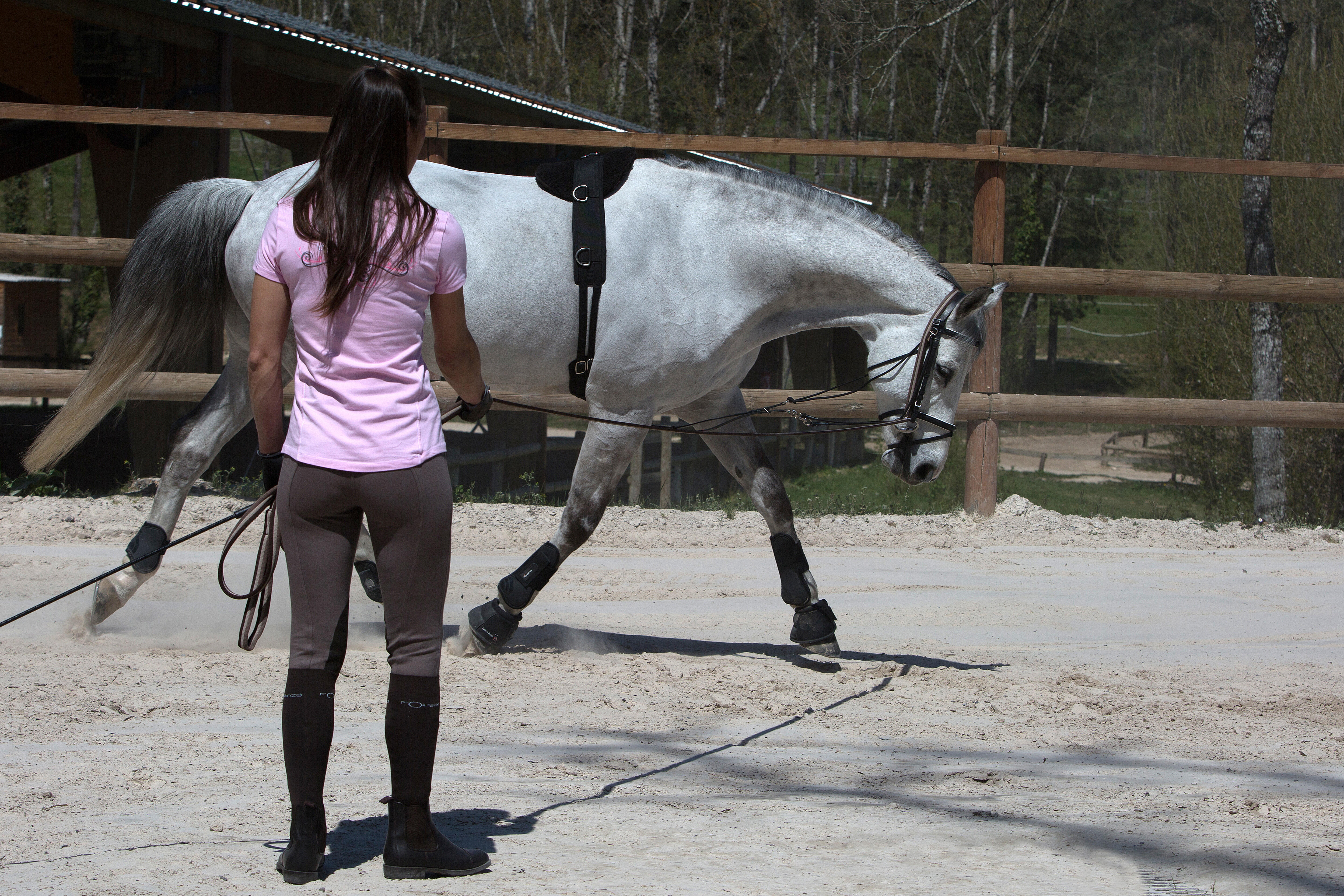 Horse Riding Horse or Pony Lunging Roller - Black - FOUGANZA