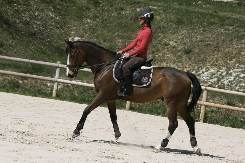 2 protège-boulets équitation poney et cheval RIDING marron