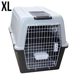 Caisse transport pour chien taille XL