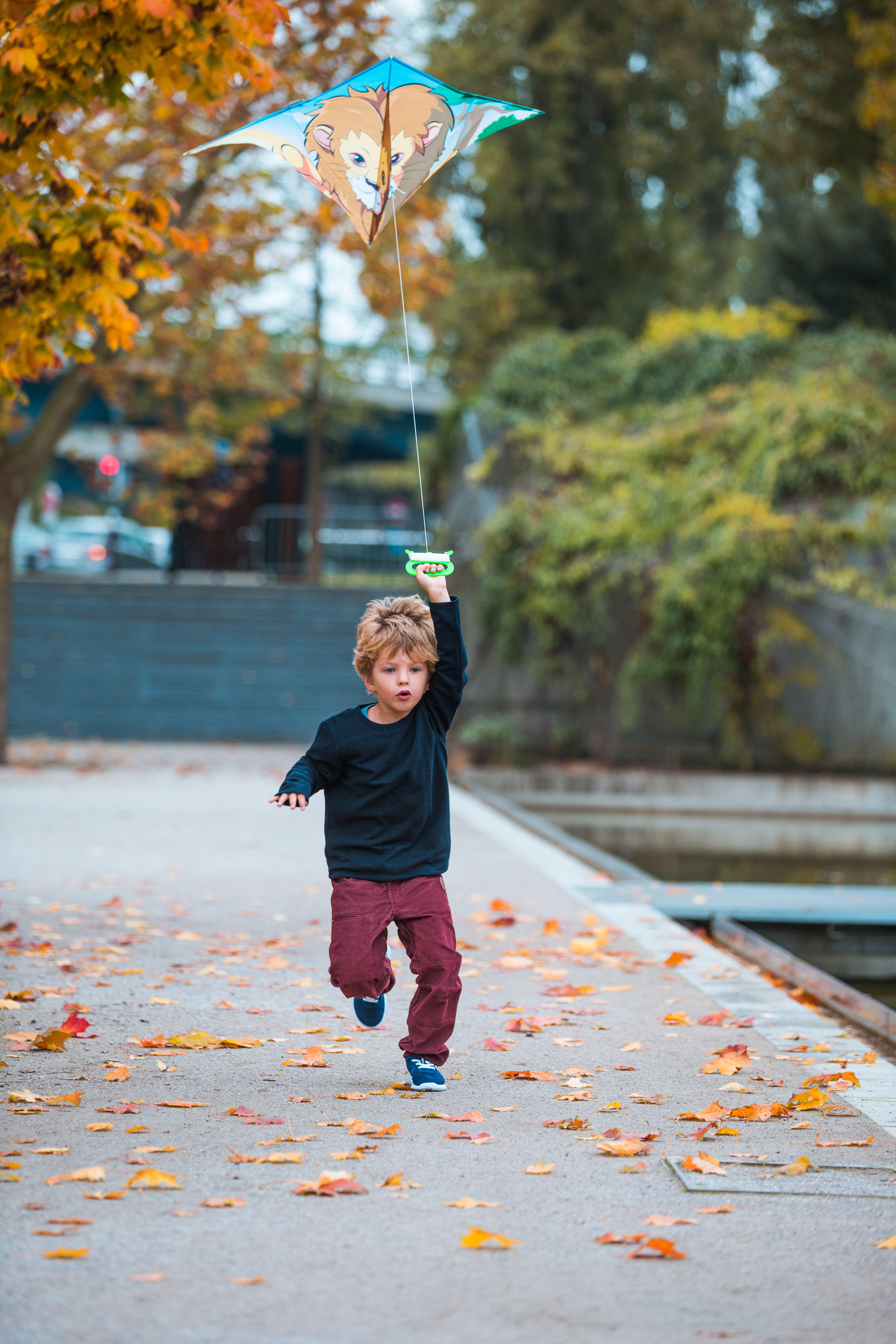 

Kids' Kite Static 120 - Lion -  By ORAO | Decathlon