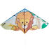 Kite Static 120 Lion