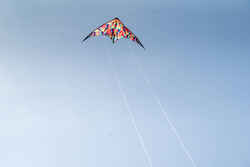 Feel'R 160 Stunt Kite