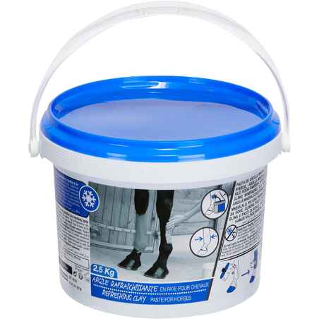 Horse Riding Refreshing Clay for Horse and Pony 2,5 kg